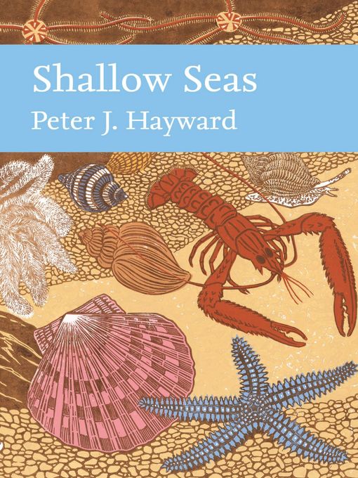 Title details for Shallow Seas by Peter Hayward - Available